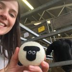 Sarah with Suffolk shep wool laundry dryer ball