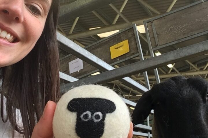 Sarah with Suffolk shep wool laundry dryer ball