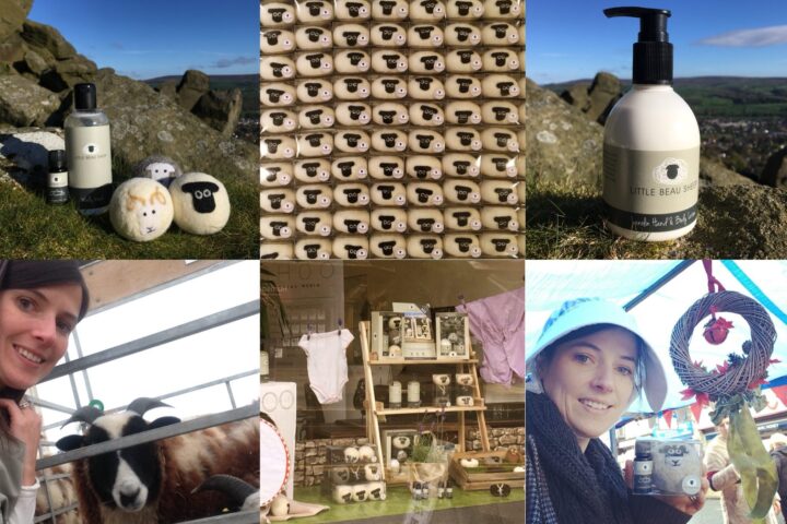 Wool and lanolin laundry and body care products