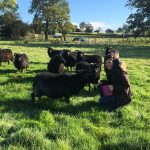 As seen on Countryfile