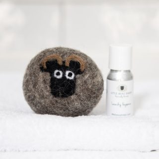 Shetland sheep wool laundry dryer ball and laundry oil fragrance set