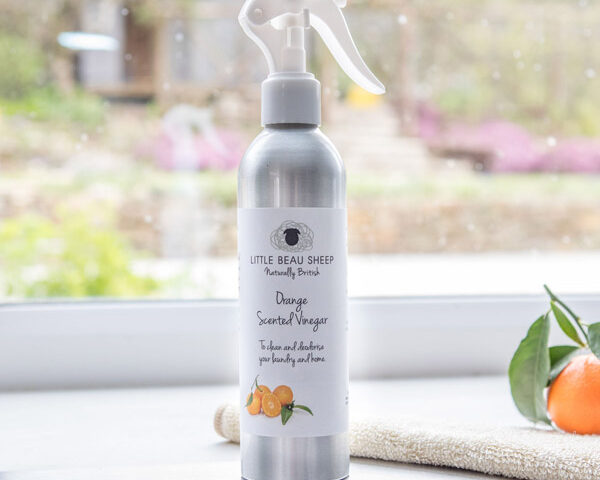 Ten things you need to know about the cleaning power of vinegar
