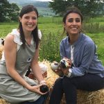 Little Beau Sheep as seen on Countryfile
