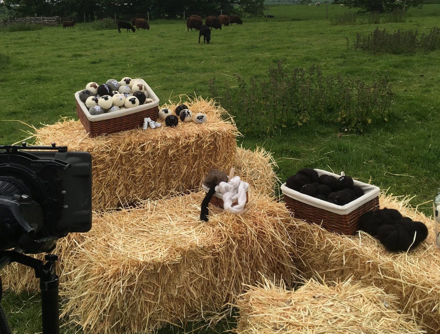 Filming for BBC Countryfile