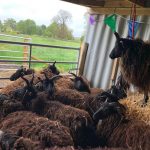 As seen on Countryfile