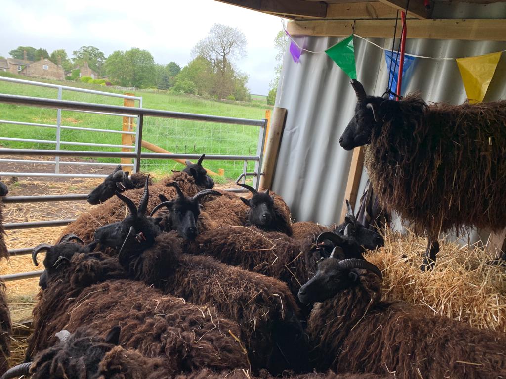 Filming for BBC Countryfile
