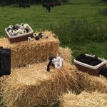 As seen on Countryfile