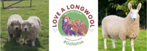 LoveALongwool