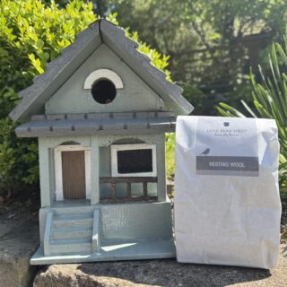 Bird Nesting Wool – Natural British Wool for Garden Birds